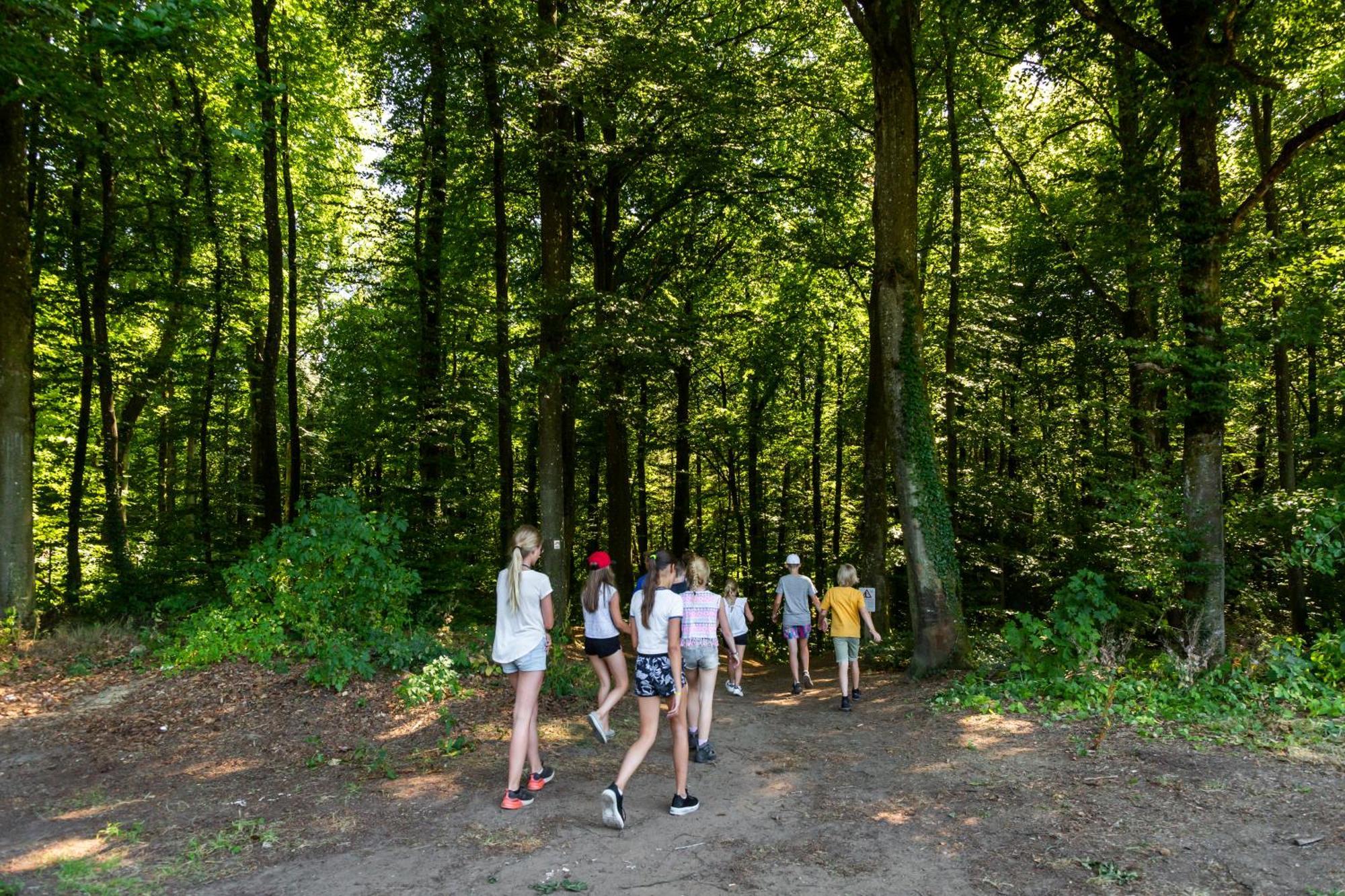 Hu Birkelt Village Larochette Kültér fotó